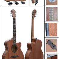 广州雅琴乐器与摩托车及零配件批发业务概览